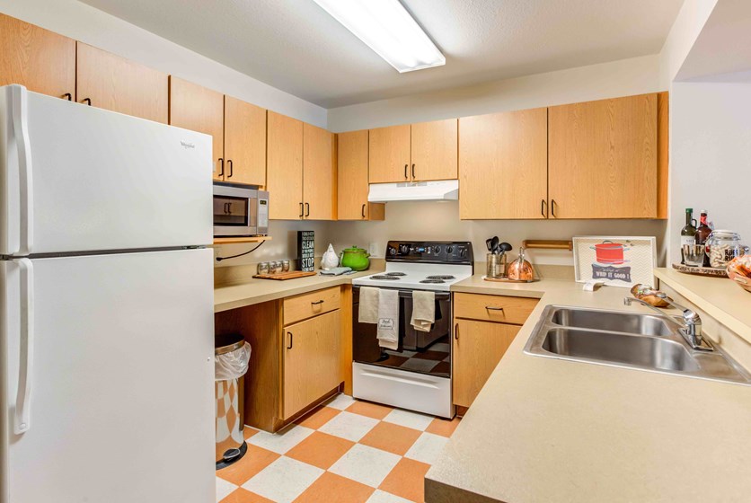 Campus Lodge Apartments near USF